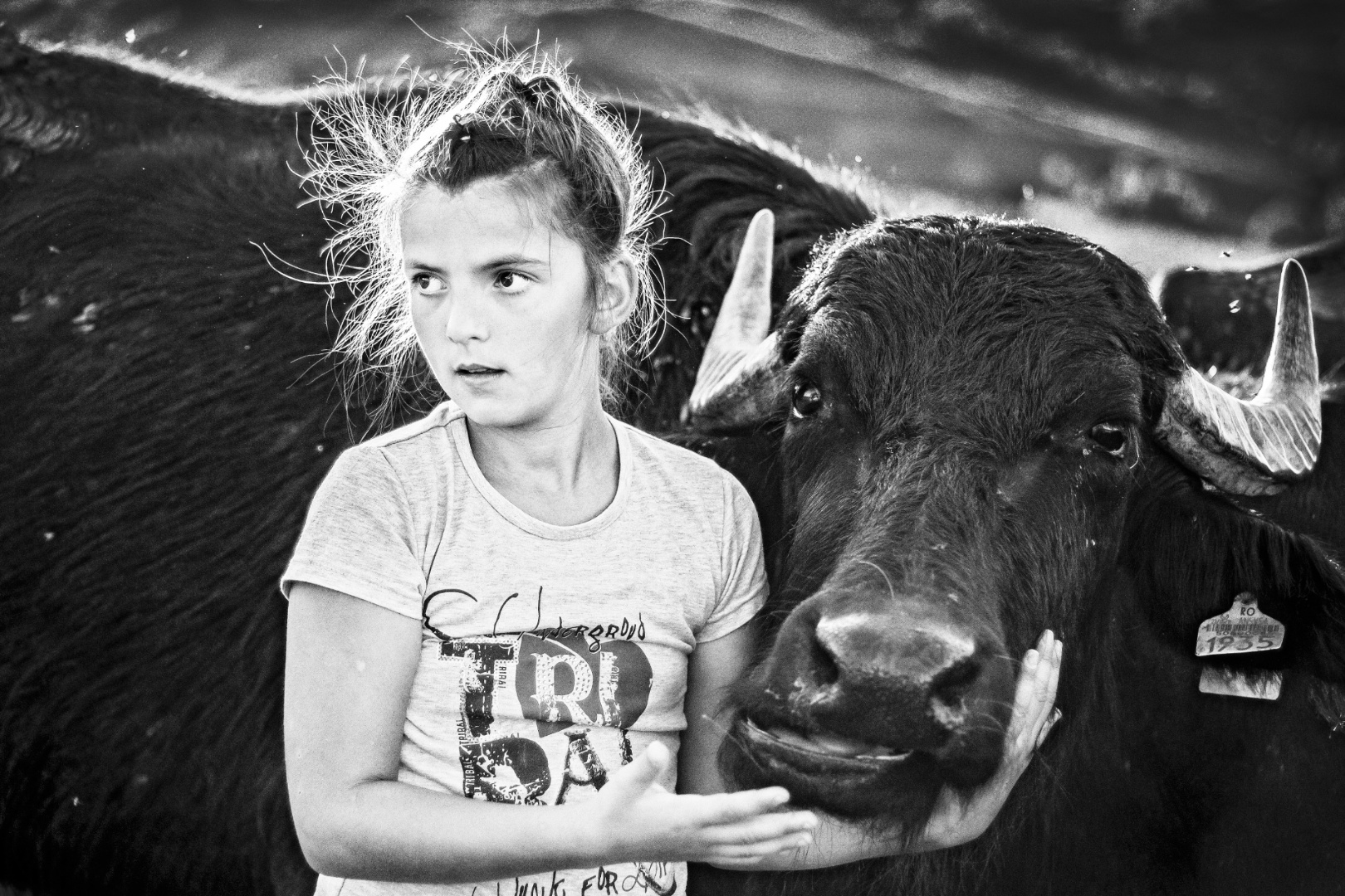 Orsi, Agyagfalva 2017