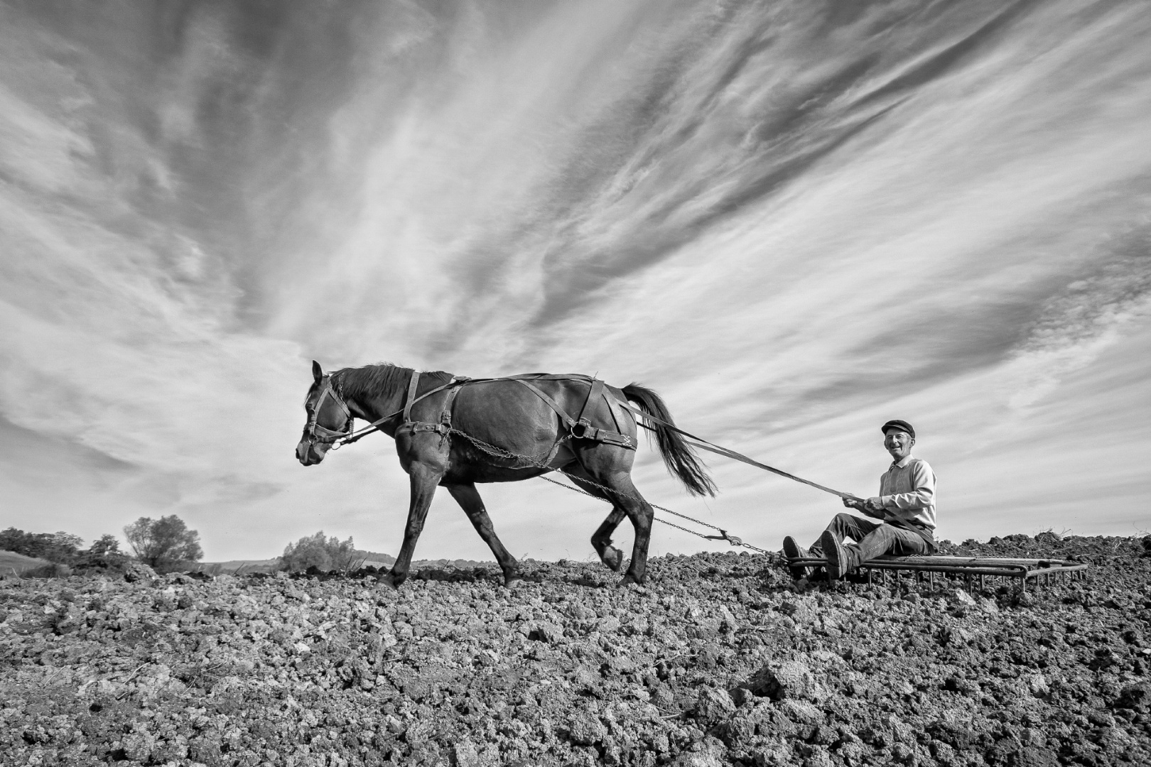 Boronálás, Homoródszentmárton 2014