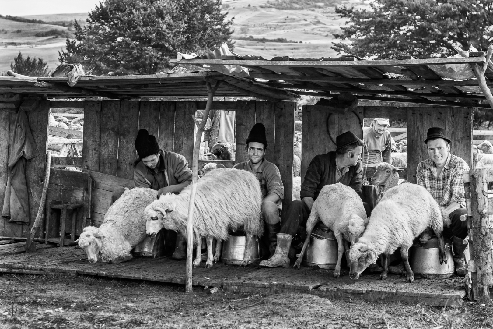 Fejés, Székelymuzsna 2014