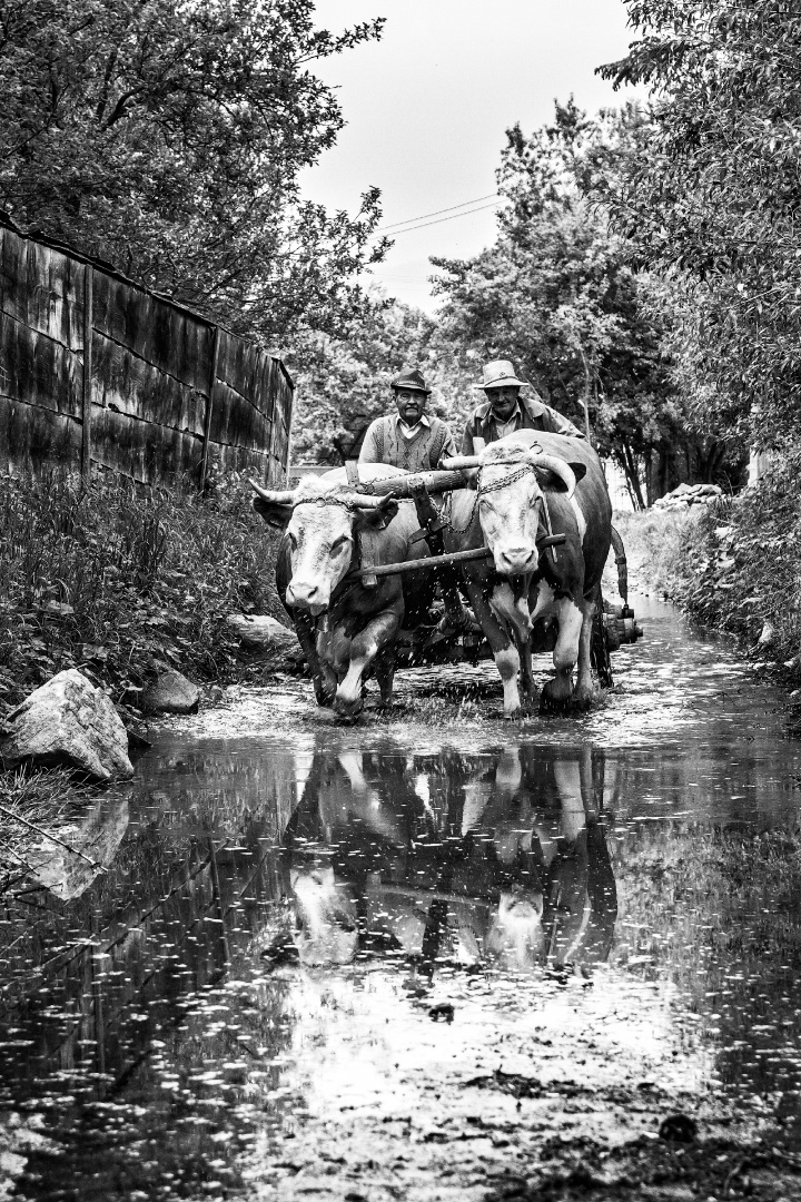 Kászonaltíz Bodó Lajos Ludovít és Simon János2