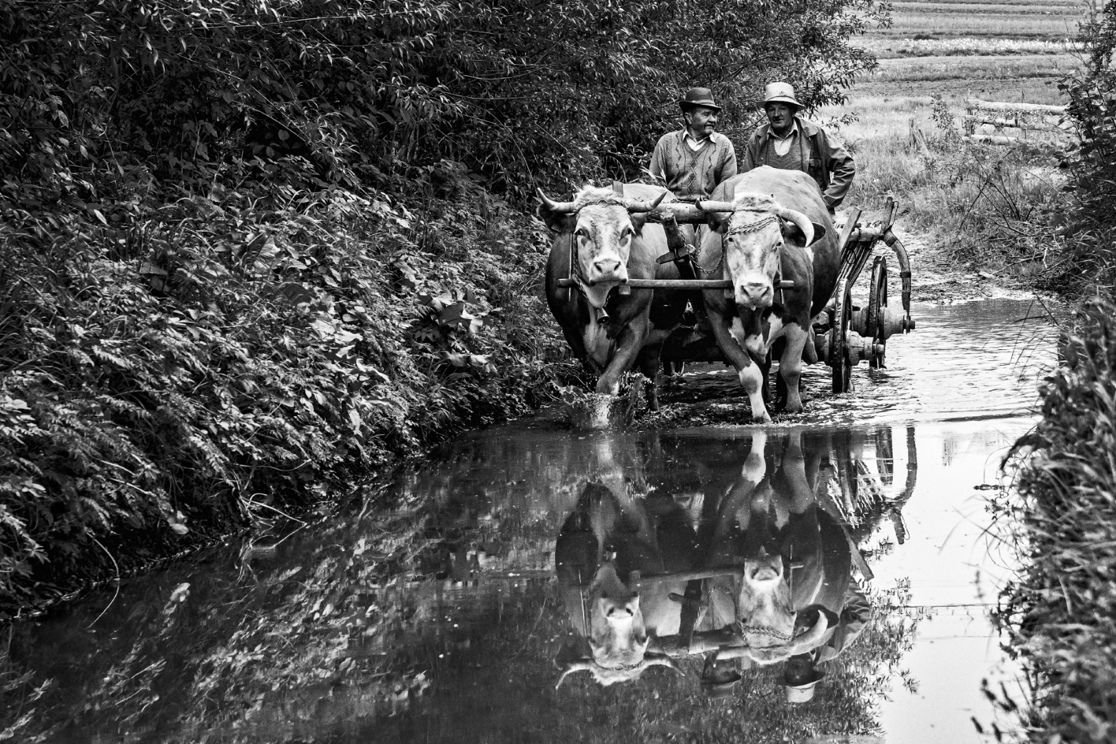 Kászonaltíz Bodó Lajos Ludovít és Simon János4